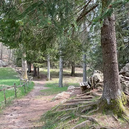 Apartment La Di Niki *